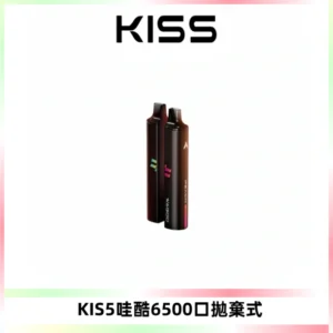 KIS5WAGOO哇酷6500口拋棄式 | 自由混搭雙口味 | 雙芯組合