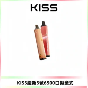 KIS5鎧斯5號一次性6500口磁吸式拋棄式電子煙#自由混搭#
